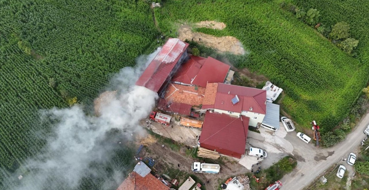 Samsun'da Samanlık Yangını Kontrol Altına Alındı