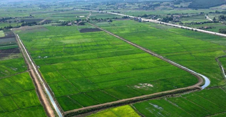 Samsun'da Tarım Arazilerine Cezai İşlemler Uygulandı