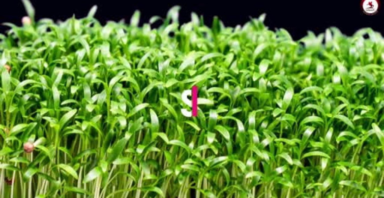 Samsun'da Tarım ve Hayvancılığa 3 Milyar TL Üstünde Destek Sağlandı