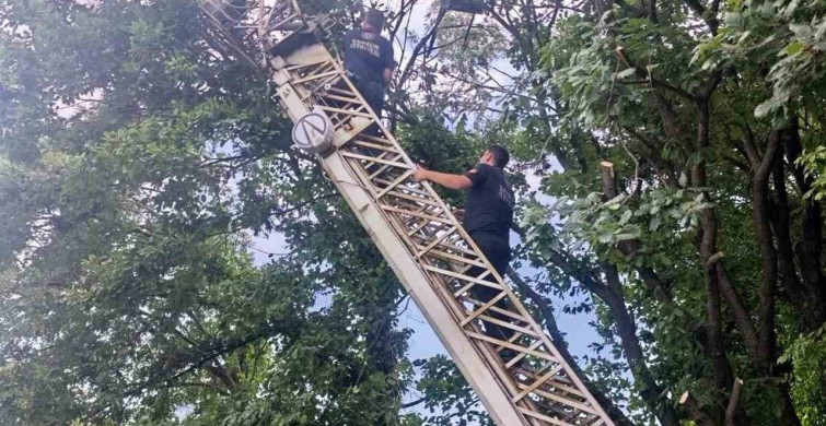 Samsun'un Alaçam ilçesinde insansız hava aracı alarmı