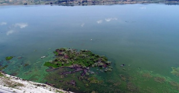 Samsun'un Doğal Güzelliği Yok Olmak Üzere