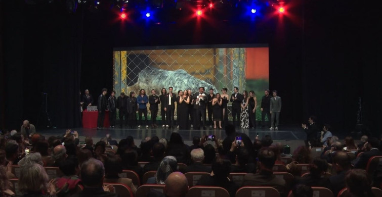 Sanatçıların Sokak Hayvanları İçin Birleştiği Proje: "Bir Patinin Nesi Var?"