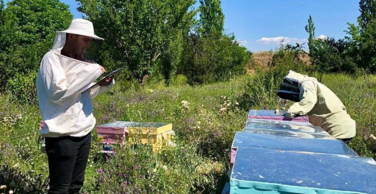 Sandıklı'da arı kovanları denetlendi
