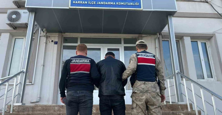 Şanlıurfa'da 13 Yıl Hapis Cezası Bulunan Dolandırıcı Yakalandı