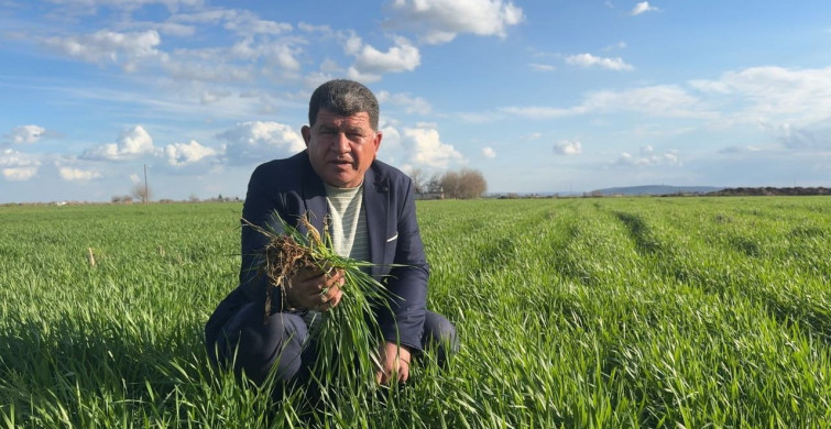 Şanlıurfa'da 2026 Yağışları Tarımı Canlandırdı