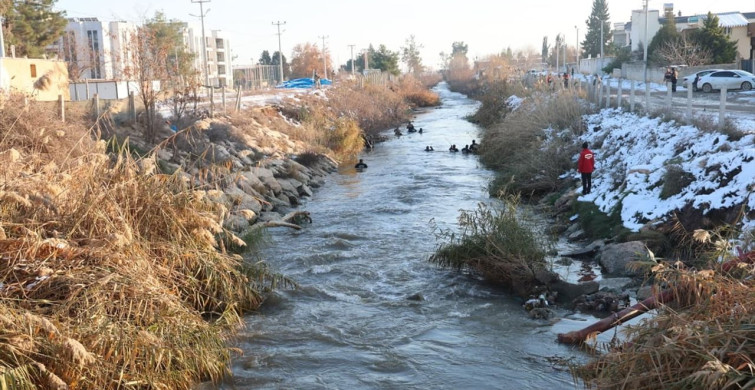 Şanlıurfa'da Arama Çalışmaları Devam Ediyor