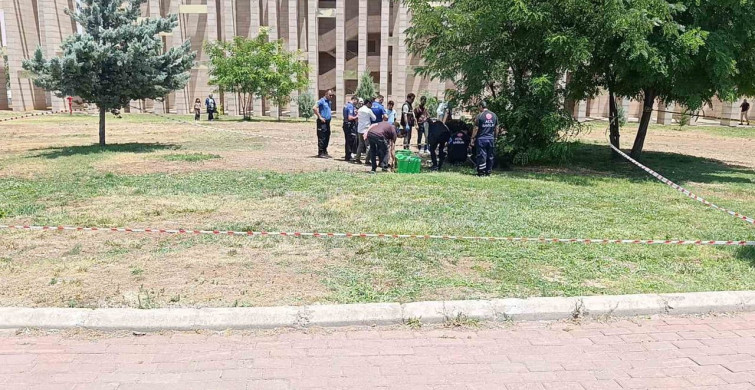 Şanlıurfa'da bir genç parkta ölü bulundu