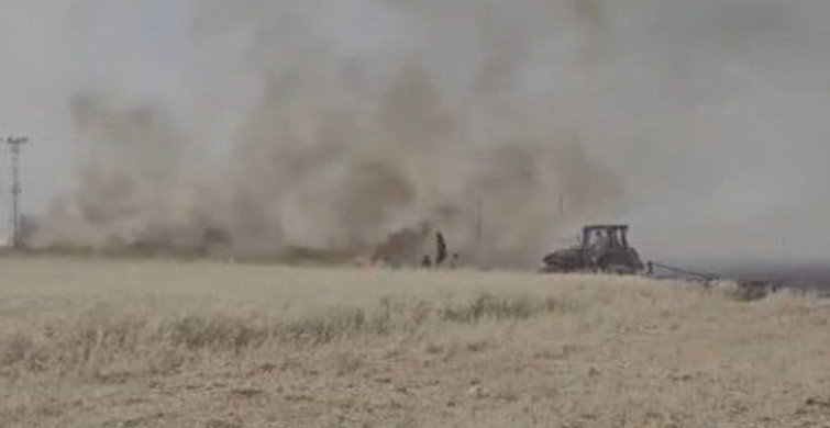 Şanlıurfa'da çıkan yangında 60 dönüm buğday ekili alan zarar gördü