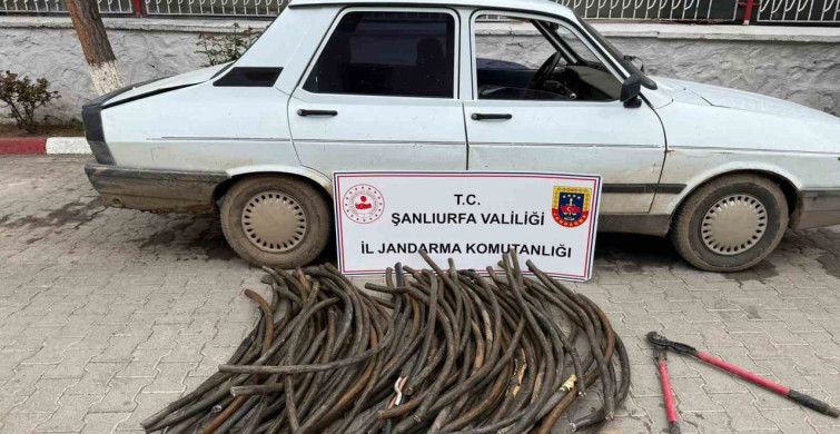 Şanlıurfa’da Kablo Hırsızı Suçüstü Yakalandı