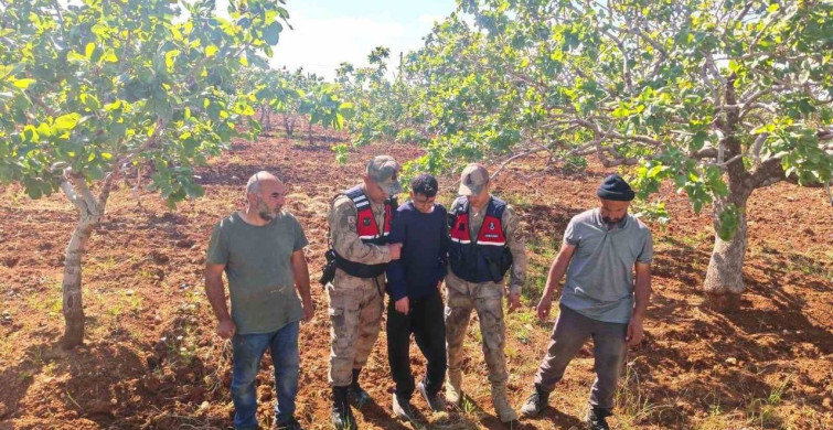 Şanlıurfa'da Kayıp Çocuk Fıstık Bahçesinde Bulundu