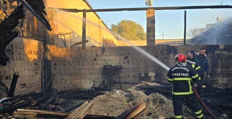 Şanlıurfa'da Marangoz Atölyesinde Yangın Çıktı