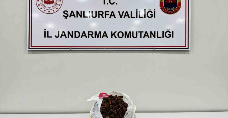 Şanlıurfa’da Narkotik Operasyonu: 1 Kilo Uyuşturucu Ele Geçirildi