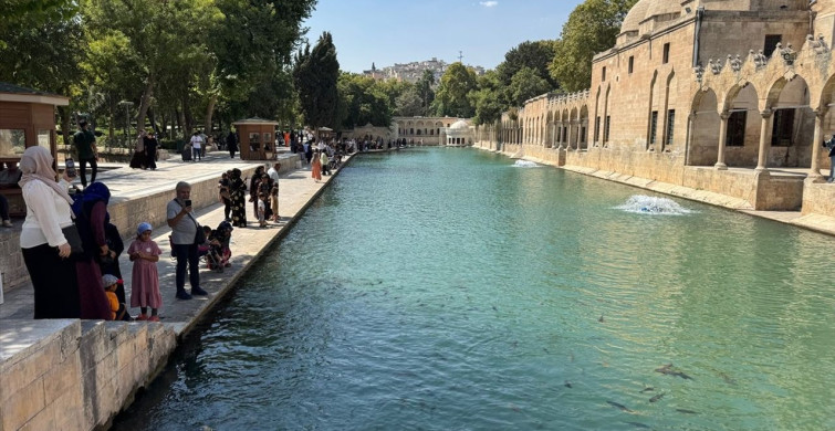 Şanlıurfa'da Sıcaklık Rekoru: Termometreler 49 Dereceyi Gördü
