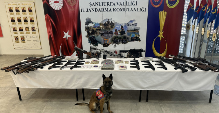 Şanlıurfa’da silah kaçakçılarına geçit yok: 53 adrese, 706 jandarmayla eş zamanlı operasyon!