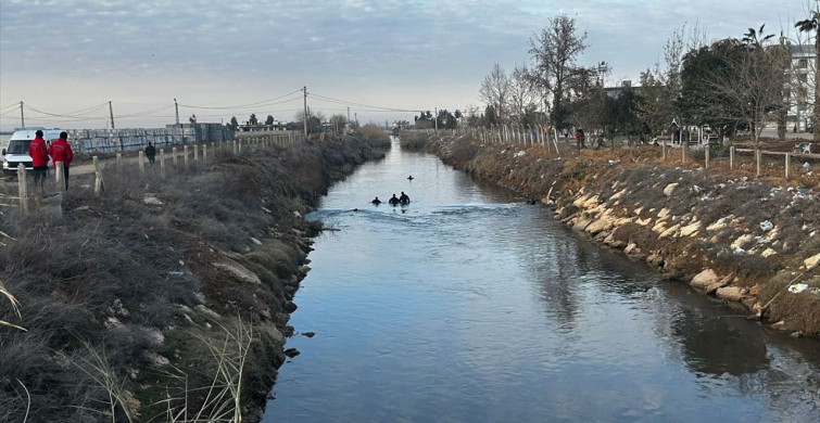 Şanlıurfa'da Sulama Kanalına Düşen Otomobilden Sürücü Aranıyor