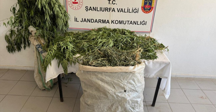Şanlıurfa'da Uyuşturucu Operasyonu: 3 Gözaltı