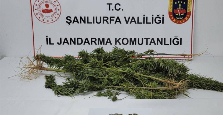 Şanlıurfa'da Uyuşturucu Operasyonu: 4 Şüpheli Yakalandı