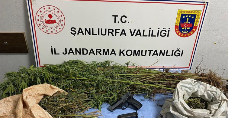 Şanlıurfa'da Uyuşturucu Operasyonu: 8 Gözaltı