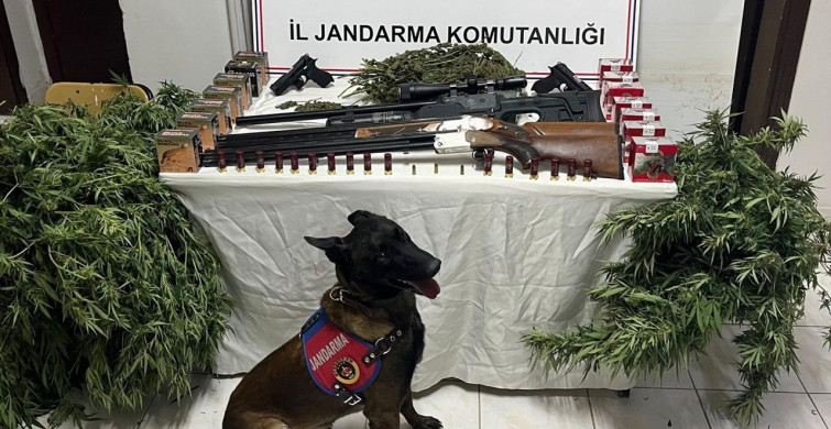 Şanlıurfa'da Uyuşturucu ve Silah Kaçakçılığı Operasyonu