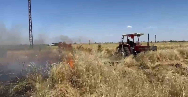 Şanlıurfa'da Yangın Felaketi: Çiftçinin Arpa Tarlası Kül Oldu