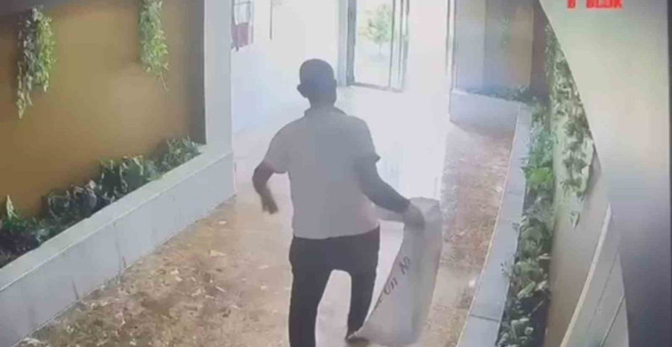 Şanlıurfa'da Yavru Kediler Kayboldu: Güvenlik Kamerası İfşa Etti