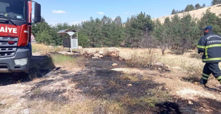 Şanlıurfa'daki Orman Yangını Kontrol Altına Alındı