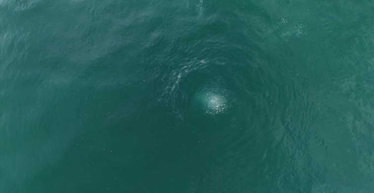 Sapanca Gölü'ndeki Kabarcıkların Sırrı