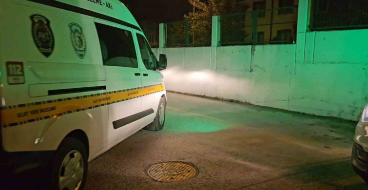 Sapanca'daki Lüks Otelde Trajik Ölüm: Hamile Eczacının Son Anları