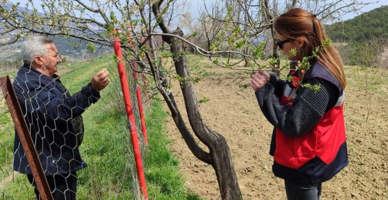 Şaphane'de Zirai Don Alarmı Sonrası Olumlu Gelişmeler