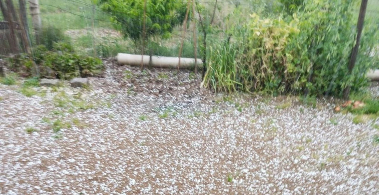 Sarıgöl'de Dolu Yağışı Tarım Alanlarını Olumsuz Etkiledi