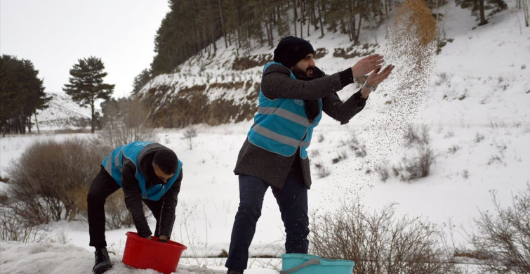 Sarıkamış İmamları Yaban Hayvanları İçin Yem Taşıyor