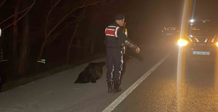 Şarkışla'da Trafik Kazası: 1 Ölü, 4 Yaralı