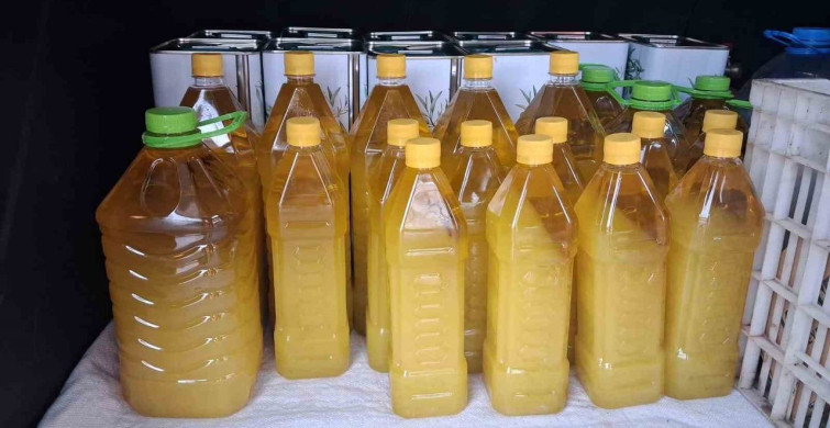 Şarköy Zeytinyağı Coğrafi İşaretini Aldı