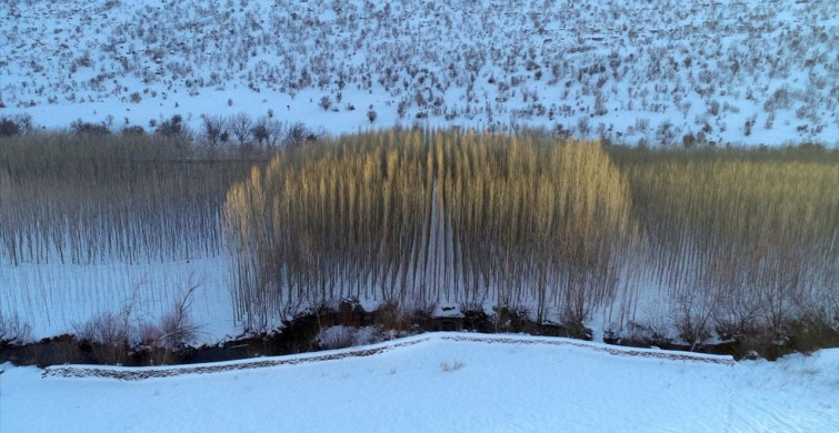 Savur Çayı Havzası Beyaza Büründü