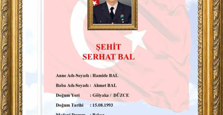 Şehit serhat bal kabri başında anıldı