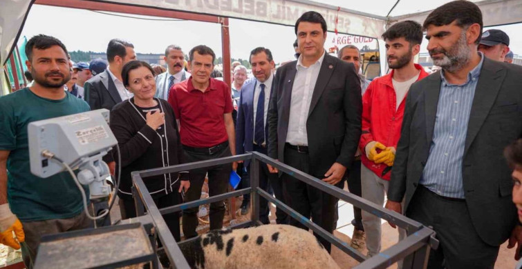Şehitkamil'de Kurban Bayramı Hazırlıkları Tamamlandı