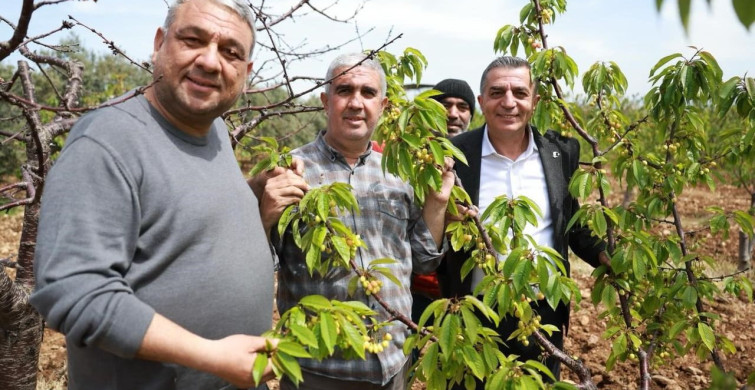 Şehzadeler'de Kiraz Hasadı Öncesi Üretici Buluşması