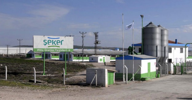 Şeker Piliç'in Sahipleri FETÖ Operasyonunda Gözaltına Alındı