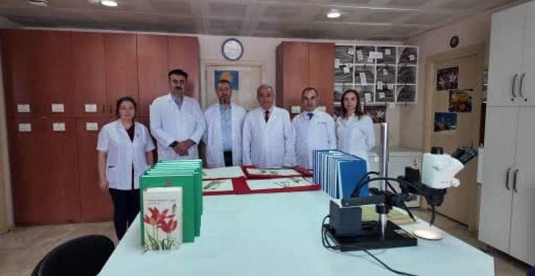 Selçuk Üniversitesi'nden Yeni Bitki Türü Keşfi