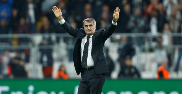 Şenol Güneş, Tolga Zengin İçin Devreye Giriyor!