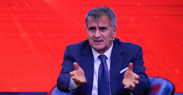 Şenol Güneş: 'Yabancılara Ödemeler Lirayla Yapılmalı'