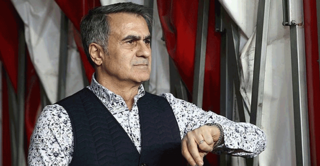 Şenol Güneş'ten Milli Takıma Yeşil Işık