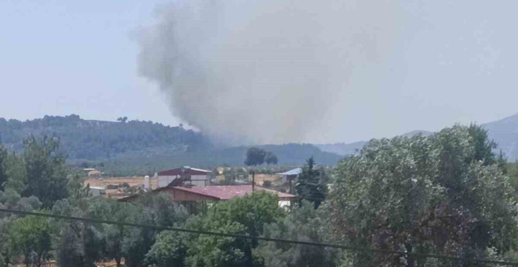 Seydikemer'de orman yangınına müdahale sürüyor