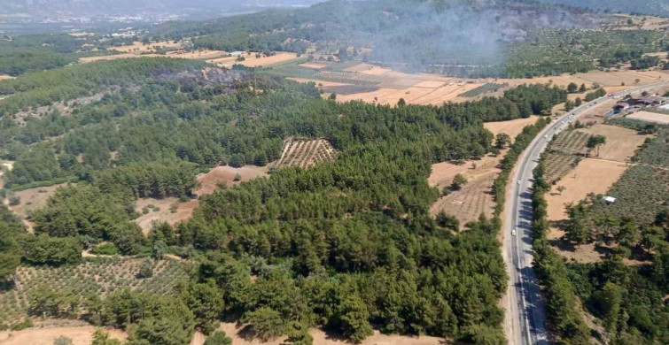 Seydikemer'deki orman yangını kontrol altına alındı