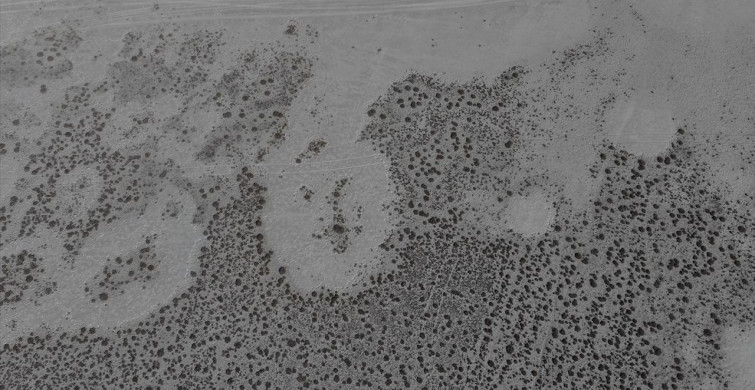 Seyfe Gölü Kuş Cenneti Kurudu