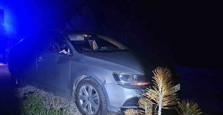Seyir Halindeki Otomobile Geyik Çarptı: İki Yaralı