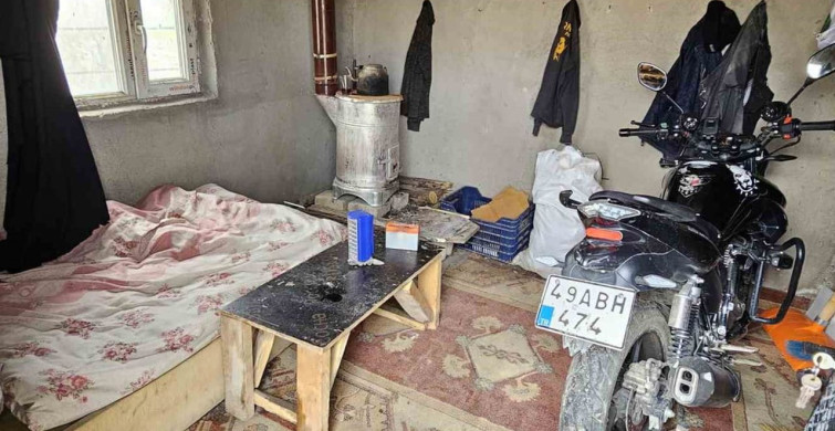 Seyithan Balaman'ın Kedileri Mezarında Bekliyor