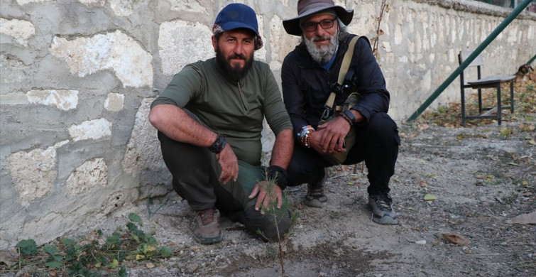 Seyyah Ömer, 77. Fidanını Burdur'a Dikti