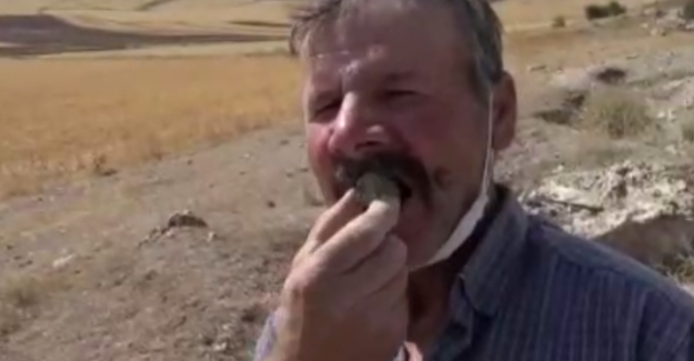 Şifayı Killi Toprakta Buldular