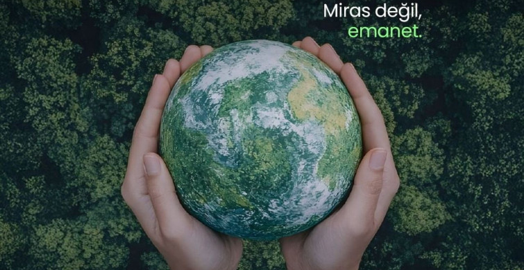 Sıfır Atık Hareketi: Küresel Bir Eylem ve İlham Kaynağı